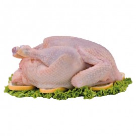 Pollo entero 1.5-1.70 kg